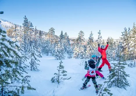 Family Skiing - Think Sweden